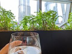 -柿合缘新京菜(国金中心商场店)