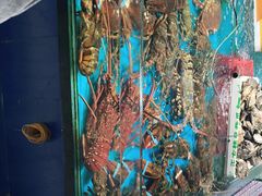 -北海港酒楼 海鲜代加工 粤菜(淡村商贸城店)