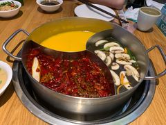 -青瓷火锅料理(西单大悦城店)