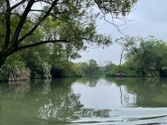 -西溪国家湿地公园