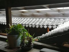 -普洱茶府(博乐广场店)