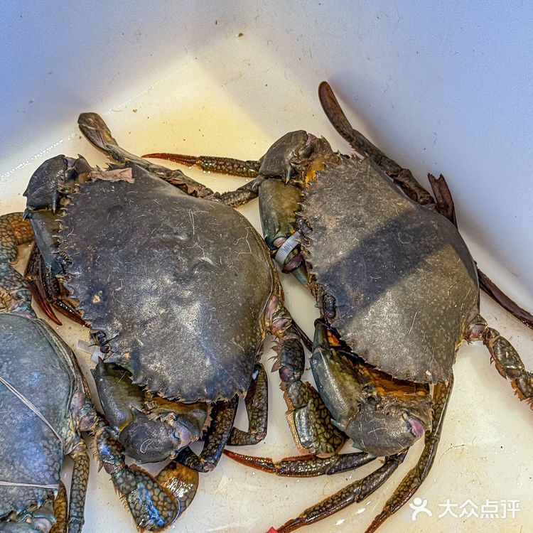 感谢天津网友推荐！！真的巨好吃。。。。。