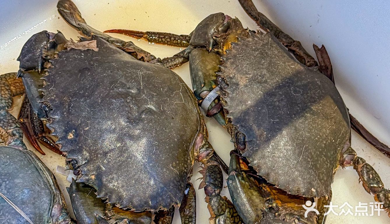 感谢天津网友推荐！！真的巨好吃。。。。。