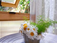 -亮河湾山庄