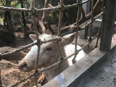 -昆明动物园