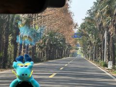 -上海海湾国家森林公园