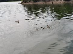 -长白岛森林公园