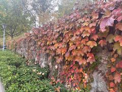 -滨河世纪广场公园