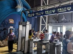 -烟台海昌鲸鲨海洋公园
