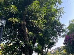 -海兰云天度假区温泉