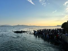 -深圳湾公园(南山区)