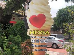 -马六甲鸡场街