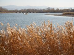 -野鸭湖国家湿地公园