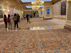 -澳门威尼斯人综合度假区