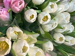 -循礼门鲜花花市(武汉循礼门店)