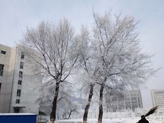 -东北农业大学