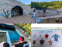-广东惠东海龟国家级自然保护区