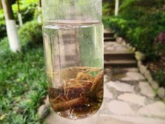 -重庆彩云湖湿地公园