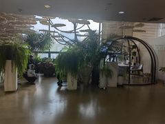 -哈尔滨圣安口腔专科医院