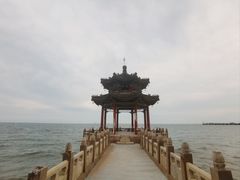 -老龙头景区