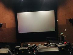 放映厅-SFC上影百联影城(川沙IMAX店)