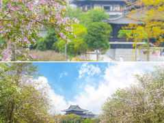 -海珠湖公园