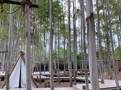 -桉树林A coffee 森林餐厅(三圣乡店)