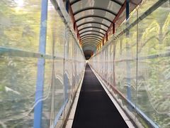 -七仙岭温泉国家森林公园