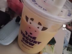 -一只酸奶牛(春熙路店)