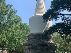 -大觉寺-停车场