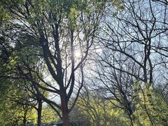 -南京市江宁方山