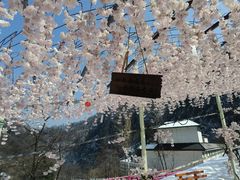 -尧山风景区