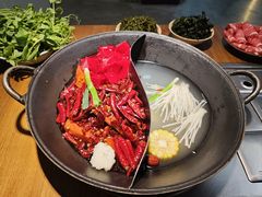 -阳阳老火锅(小南门店)