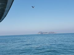 -海驴岛(荣成市)