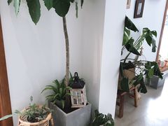 -AHAVA·Fang Baking Studio