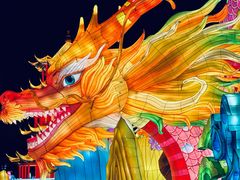 -武汉园博园(武汉自然博物馆)