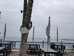 -小梅沙海滨乐园