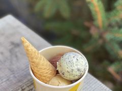 -Luneurs(幸福里店)