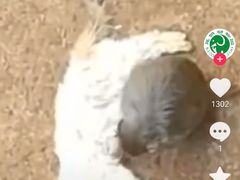 -昆明动物园