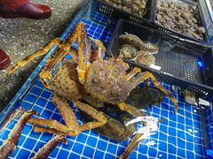 -霞涌市场海鲜摆卖区