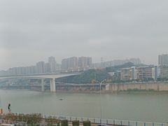 -李子坝梁山鸡(李子坝大鸡哥店)