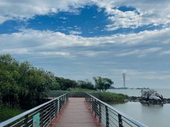 -上海吴淞炮台湾国家湿地公园