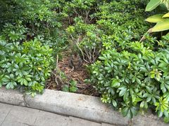 -晓港公园