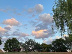 -北京西山国家森林公园