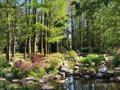 -上海共青森林公园