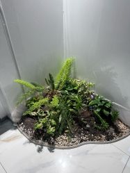 -养月堂中医养生月子会所(中心妇产店)