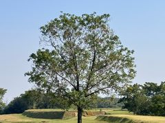 -盘龙城国家考古遗址公园