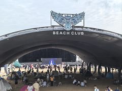 -碧海金沙