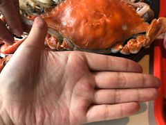 -蓝珊甄选海鲜自助·火锅大排档(近阿那亚店)