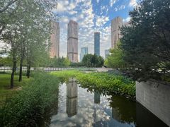 -大望京公园